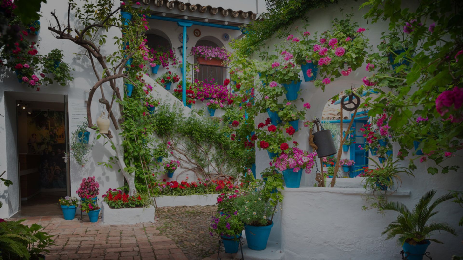 Fiesta de los Patios, Córdoba